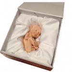 3D打印胎儿模型