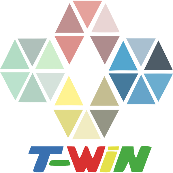 台稳T-WIN 标识 LOGO