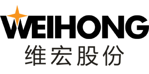 上海维宏电子科技股份有限公司 LOGO